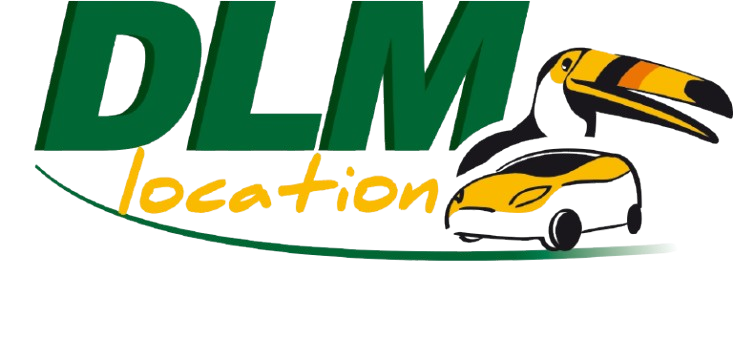 DLM